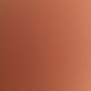 Meet your Posher, Riley